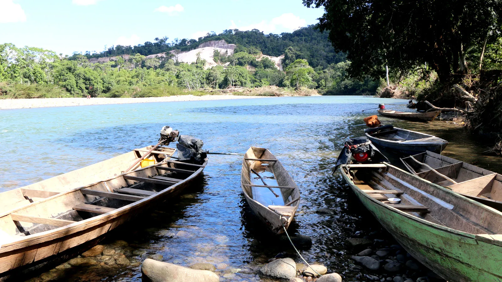 Aventura en la selva
