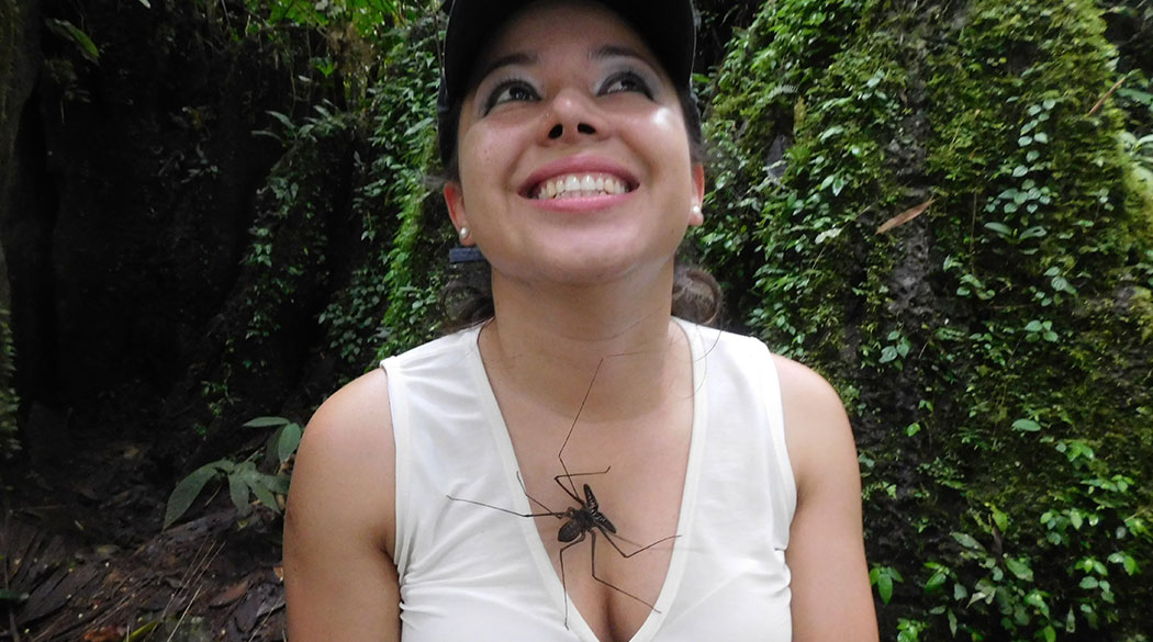 Imagen de galería
