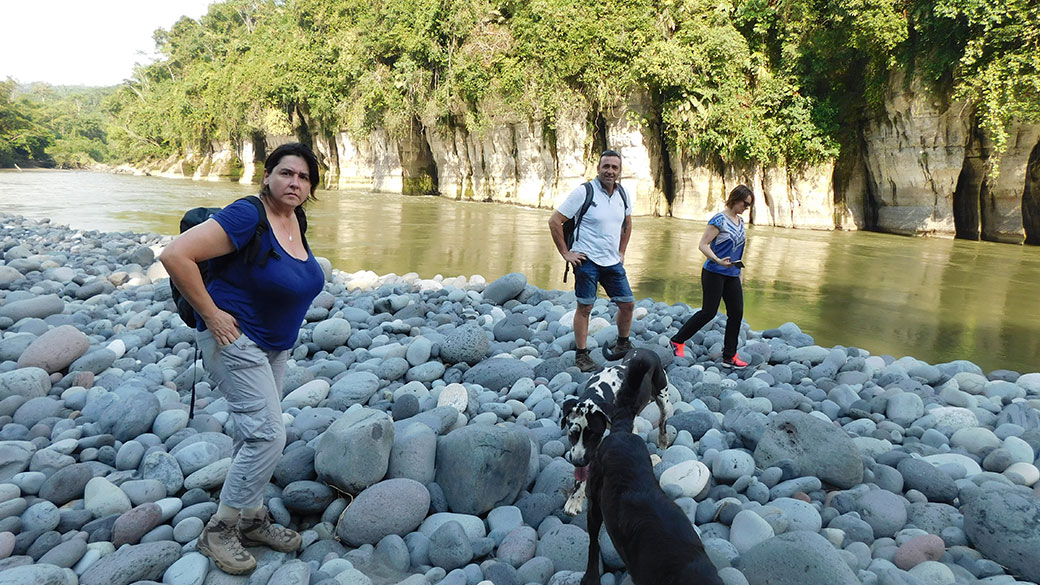 Imagen de galería