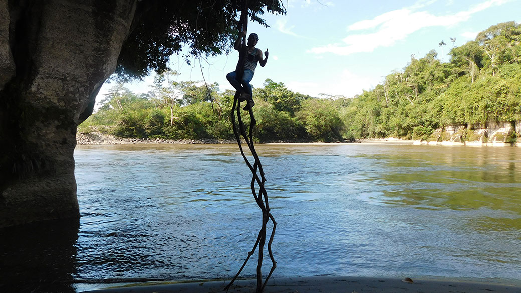 Imagen de galería