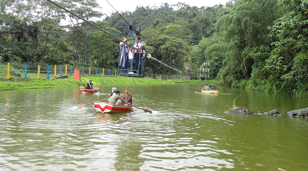 Imagen de galería